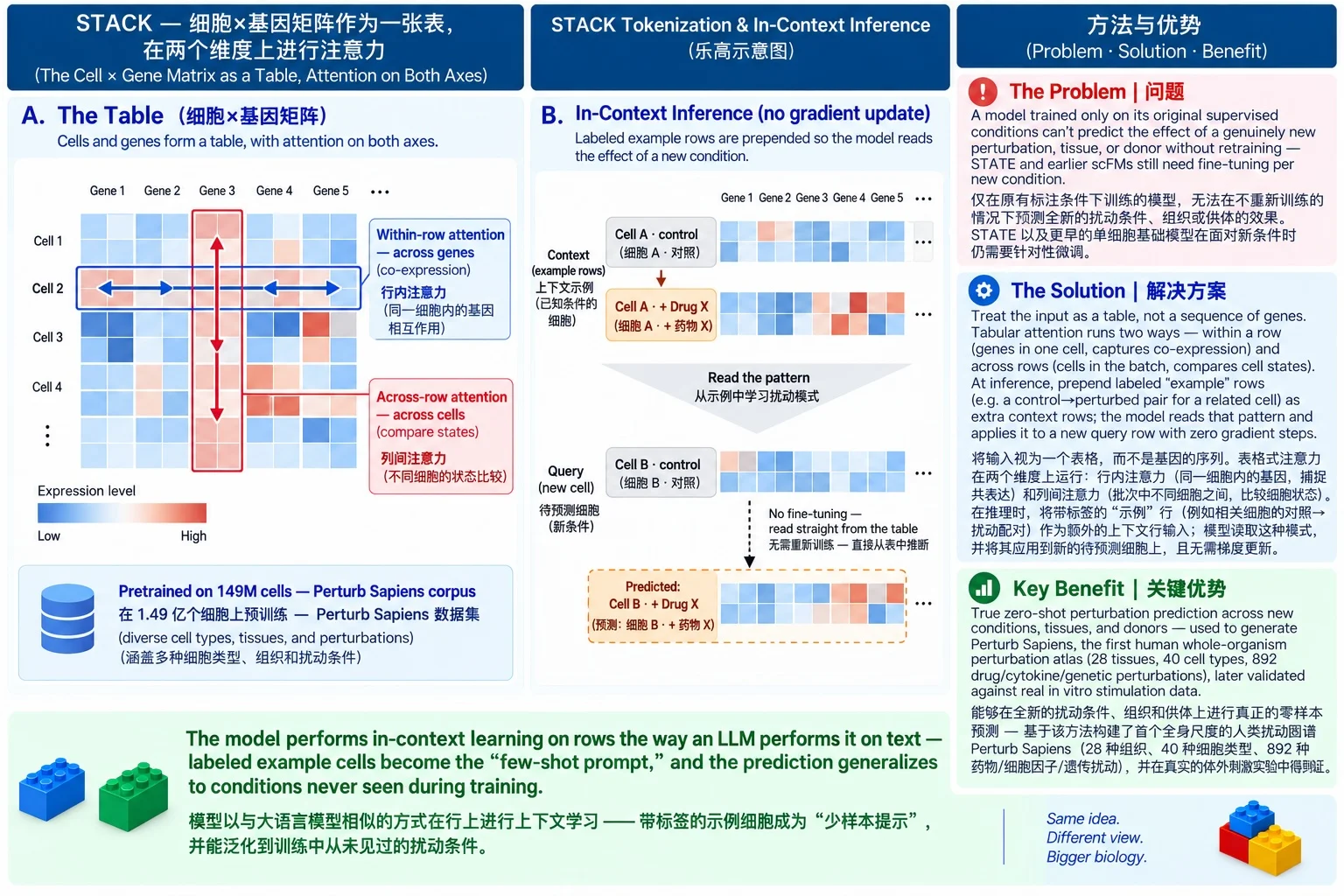 STACK tokenization diagram: the cell-by-gene expression matrix is treated as a table, with within-row attention across genes (co-expression) and across-row attention across cells (comparing cell states), pretrained on 149M cells from the Perturb Sapiens corpus. At inference, labeled context rows (e.g. a control-cell row paired with its drug-treated row) are prepended so the model reads the control-to-perturbed pattern and applies it to a new query cell with no gradient update. Right column states the problem (models can't predict genuinely new conditions without retraining), solution (tabular attention plus in-context example rows), and key benefit (zero-shot perturbation prediction used to build the Perturb Sapiens atlas).