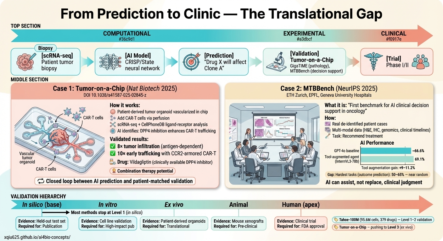 From Prediction to Clinic - The Translational Gap