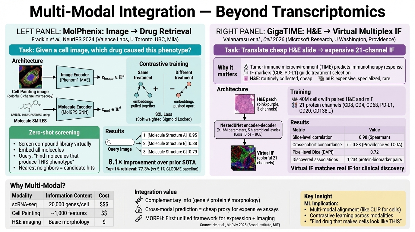 Multi-Modal Integration - Beyond Transcriptomics