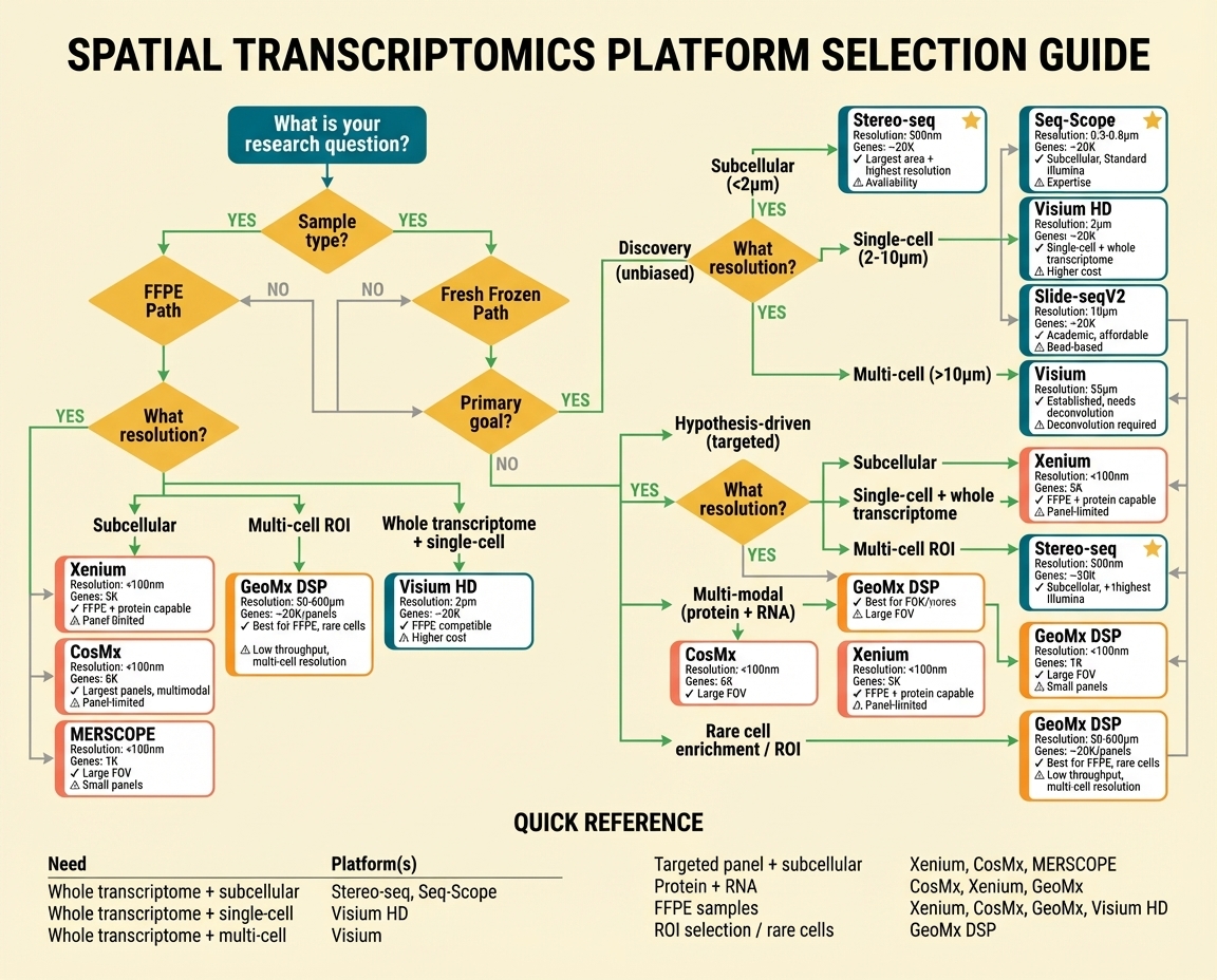 Platform Selection Decision Flowchart