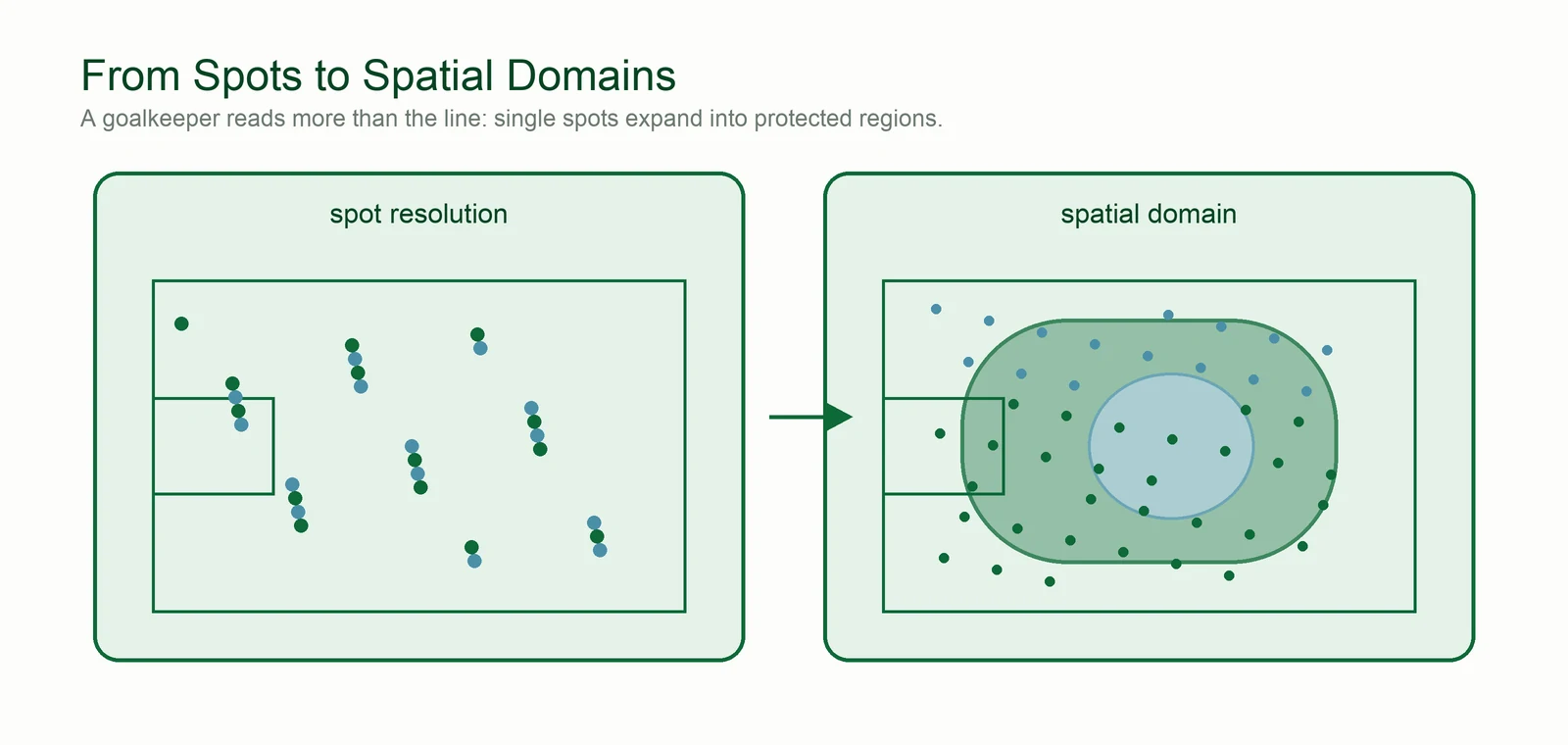 Comparison from spot resolution to spatial domain