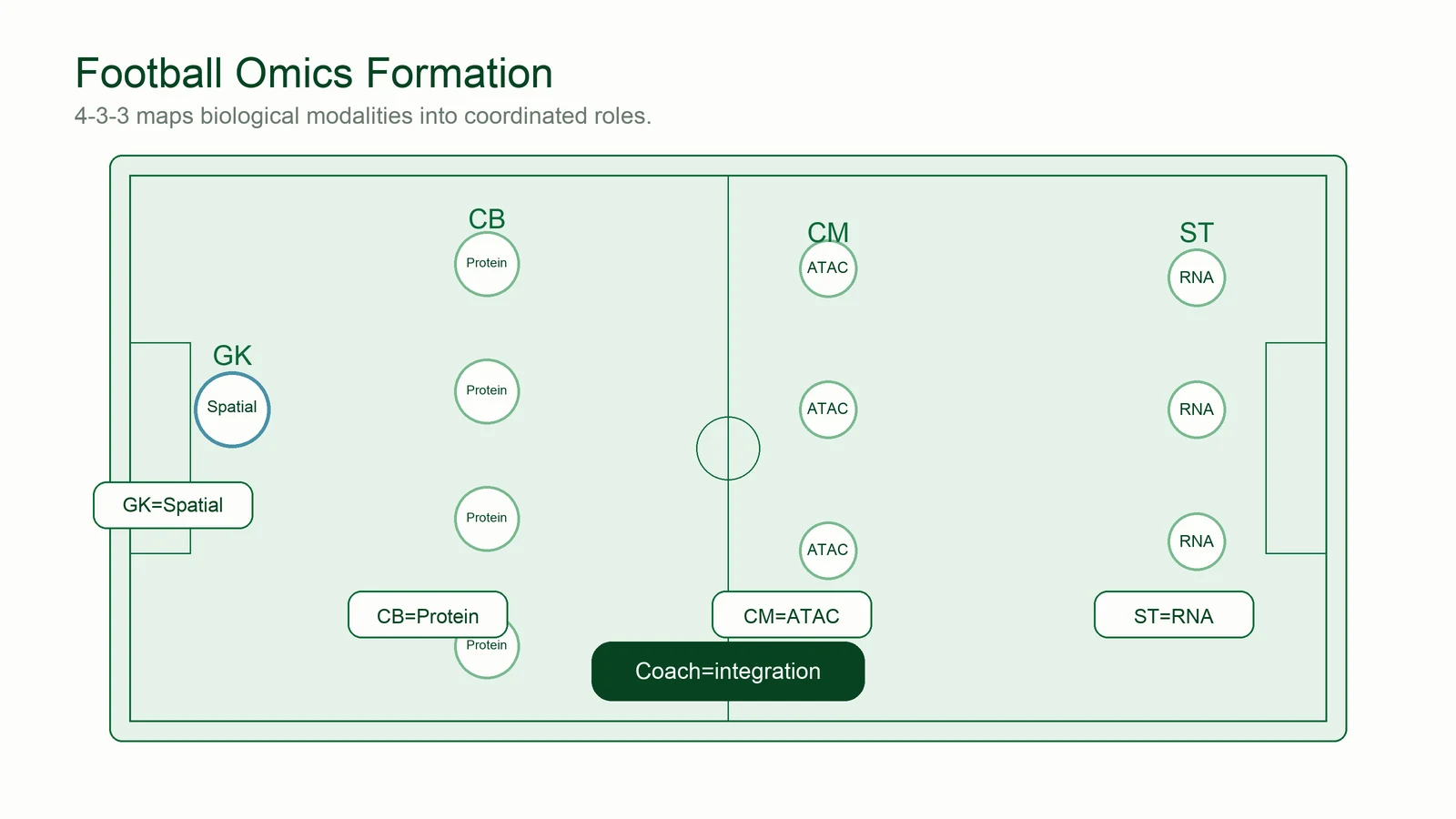 Football pitch diagram mapping ST to RNA, CM to ATAC, CB to Protein, GK to Spatial, and coach to integration