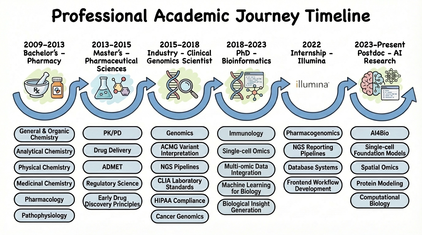 Professional Academic Journey Timeline